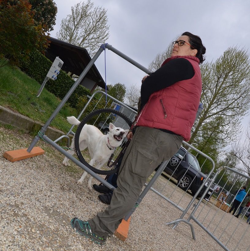 Socializzazione tra cuccioli