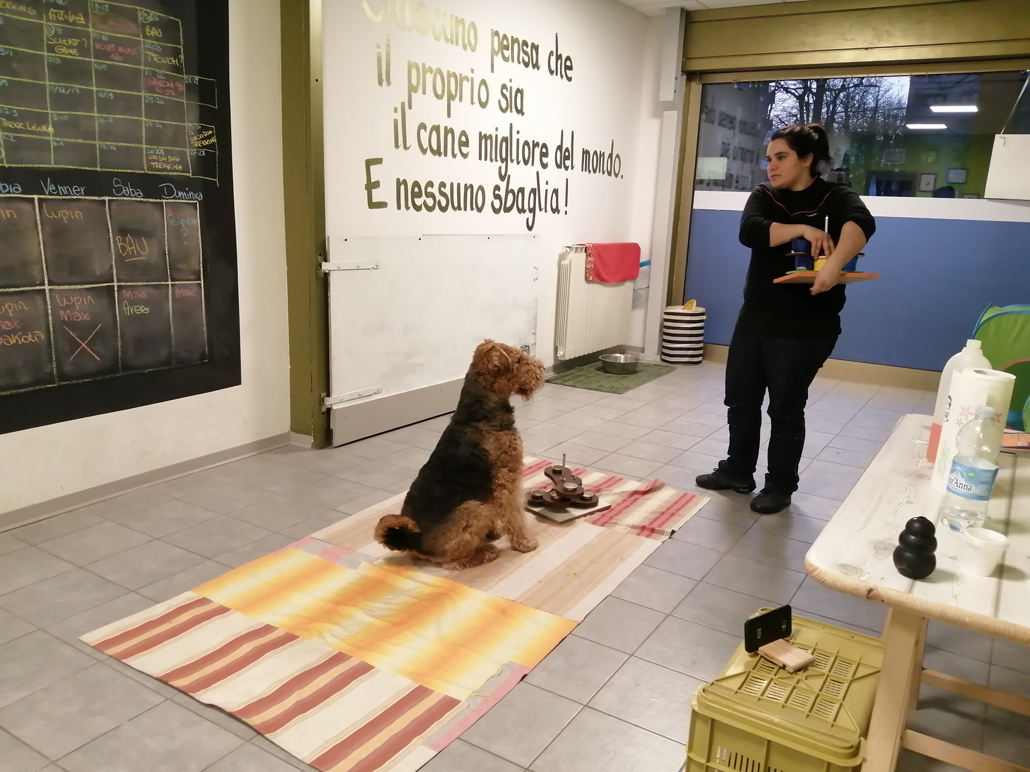 Diploma fine corso