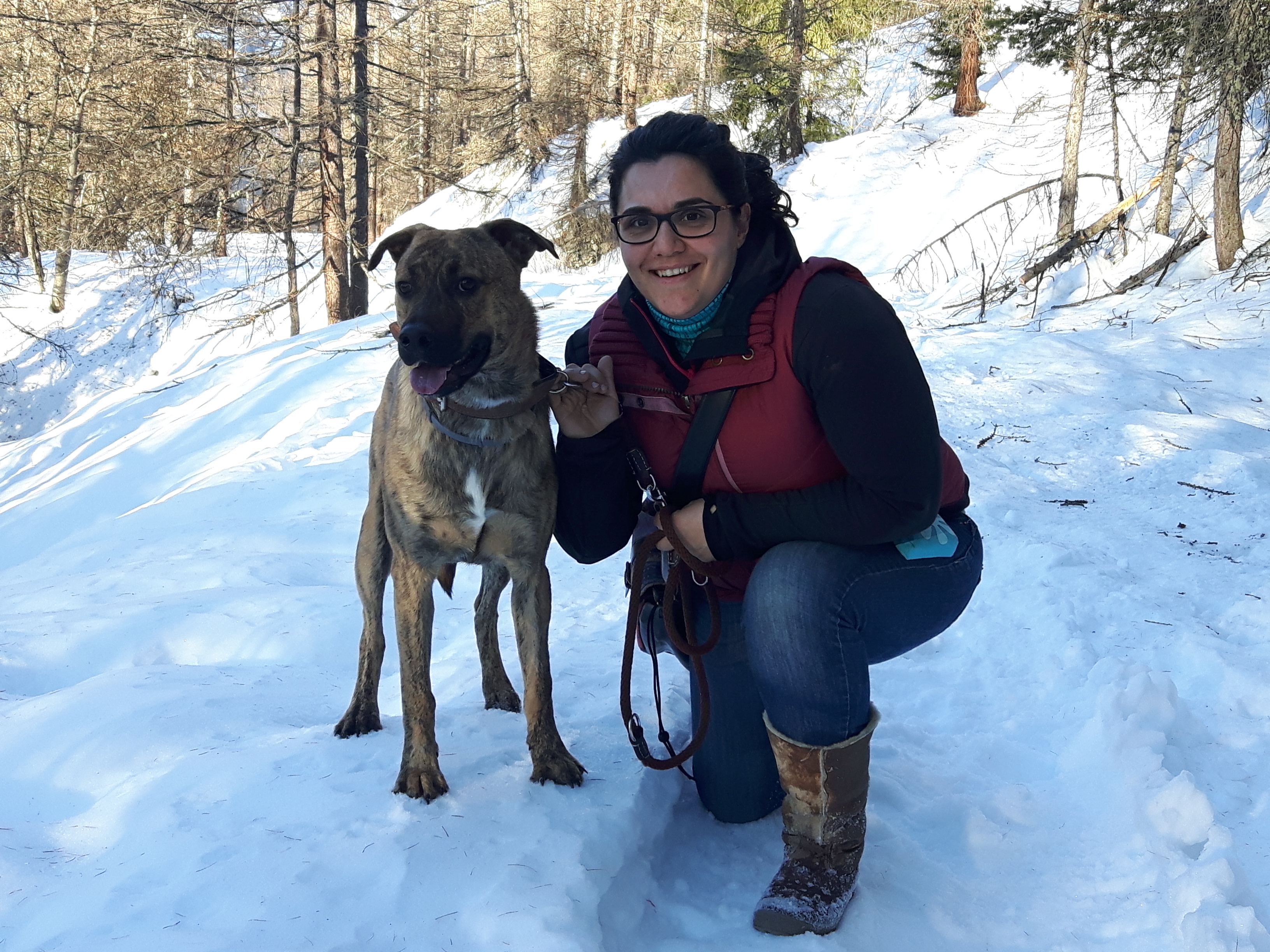 Teresa Fucà con un cane durante una sessione